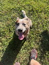 Oakley - Photo 4