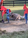 Oakley - Photo 6