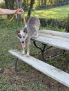 Oakley - Photo 7