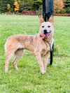 Tess - Photo 2