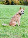 Tess - Photo 4