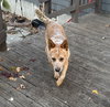 Asher - Photo 2
