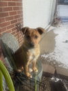 Freda - Photo 2