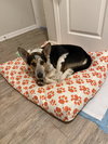 Cinch - Photo 2