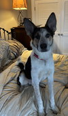 Cinch - Photo 3