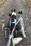 Cinch - Photo 4