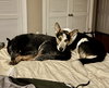 Cinch - Photo 5