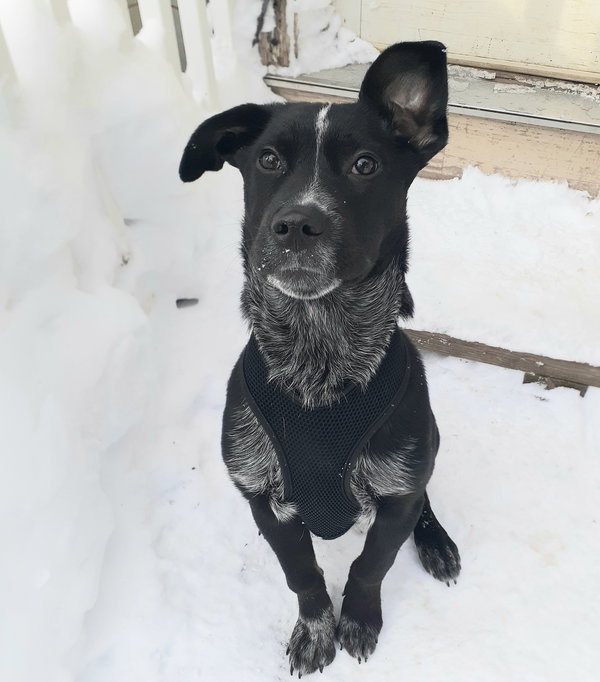 Jax