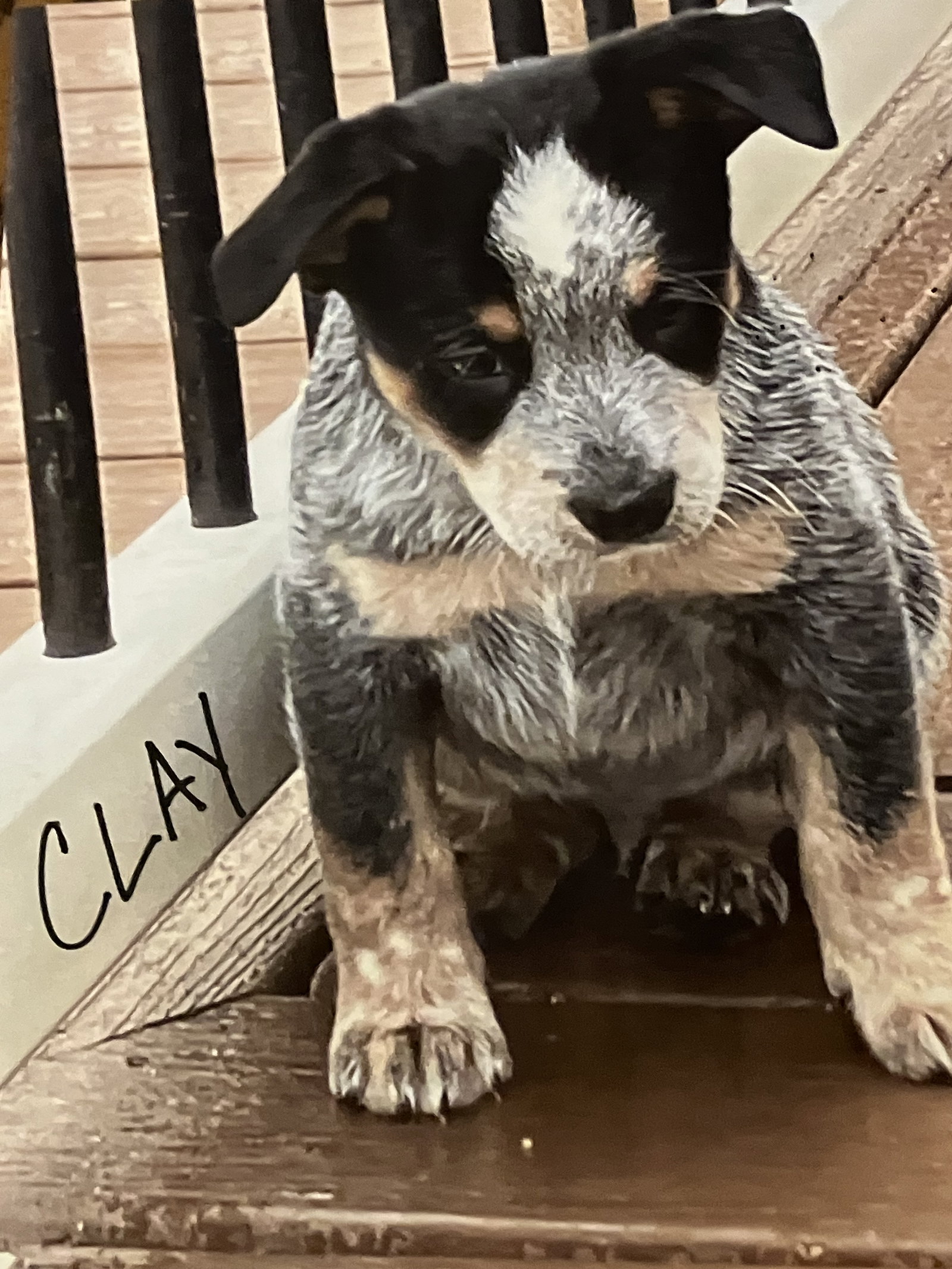 Clay Image