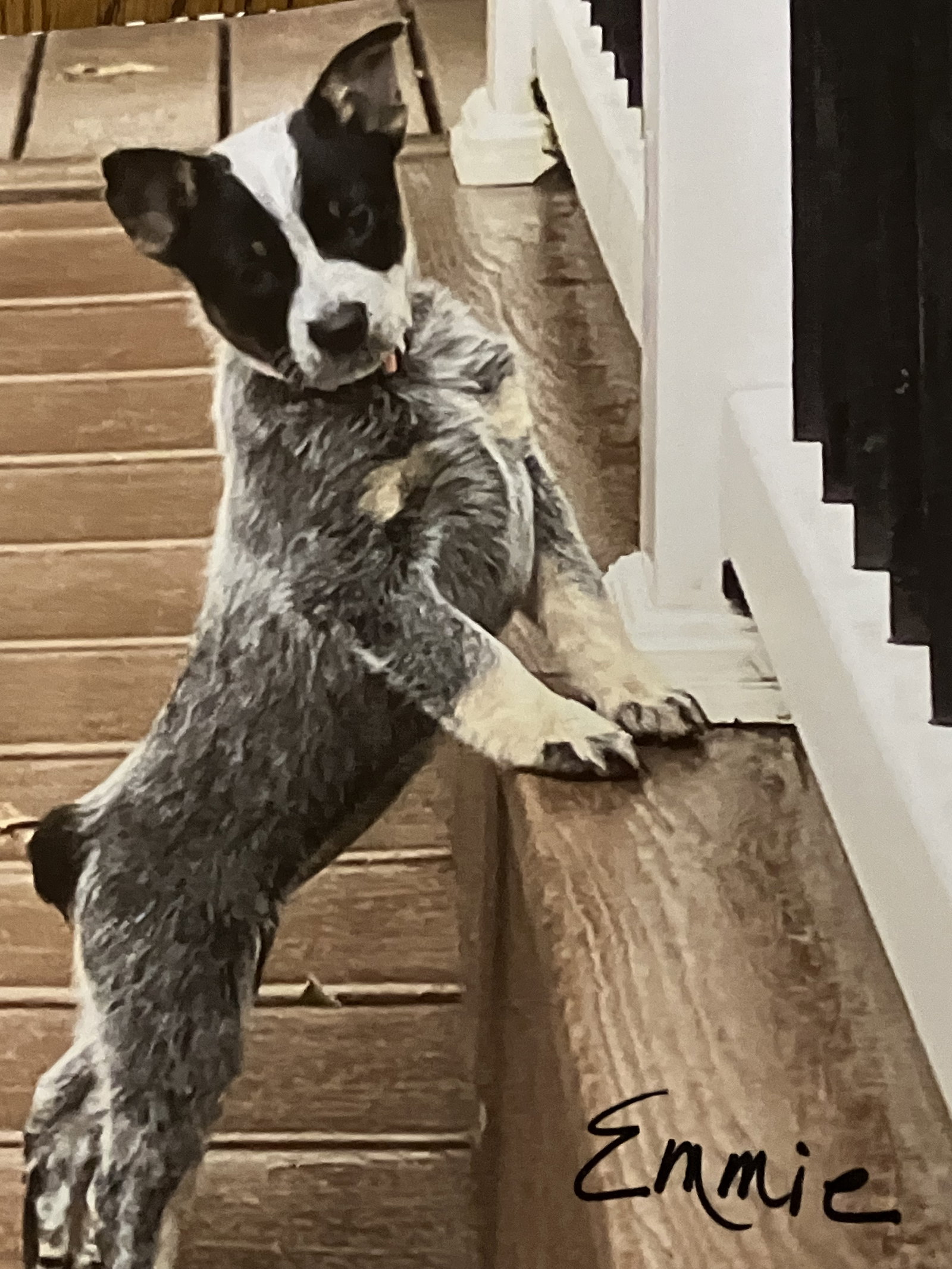 Emmie Image