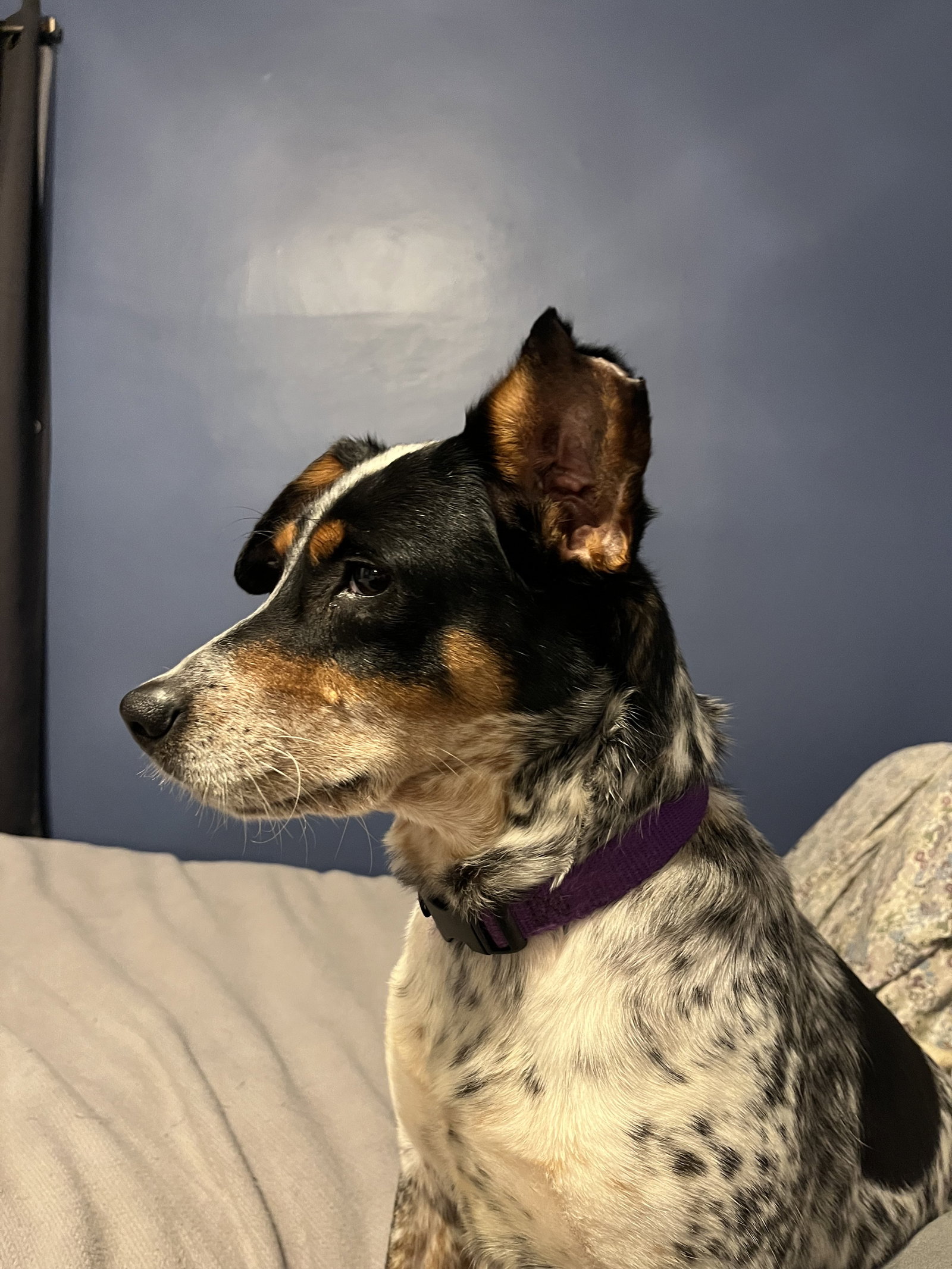 Marnie