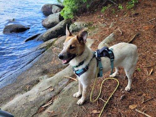 Max photo 2