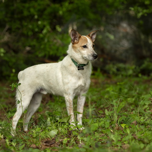 Max photo 3