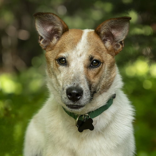 Max photo 5