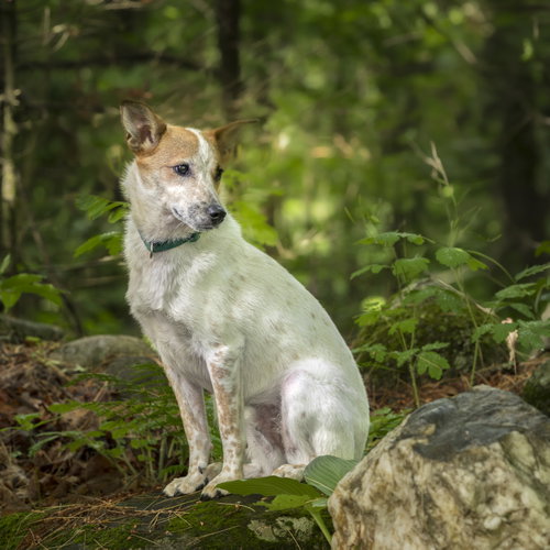 Max photo 2