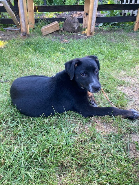 Coco photo 2
