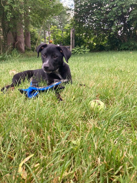 Coco photo 3