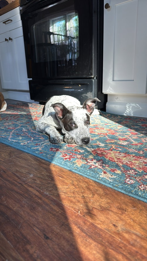 Photo 2 of Jiffy