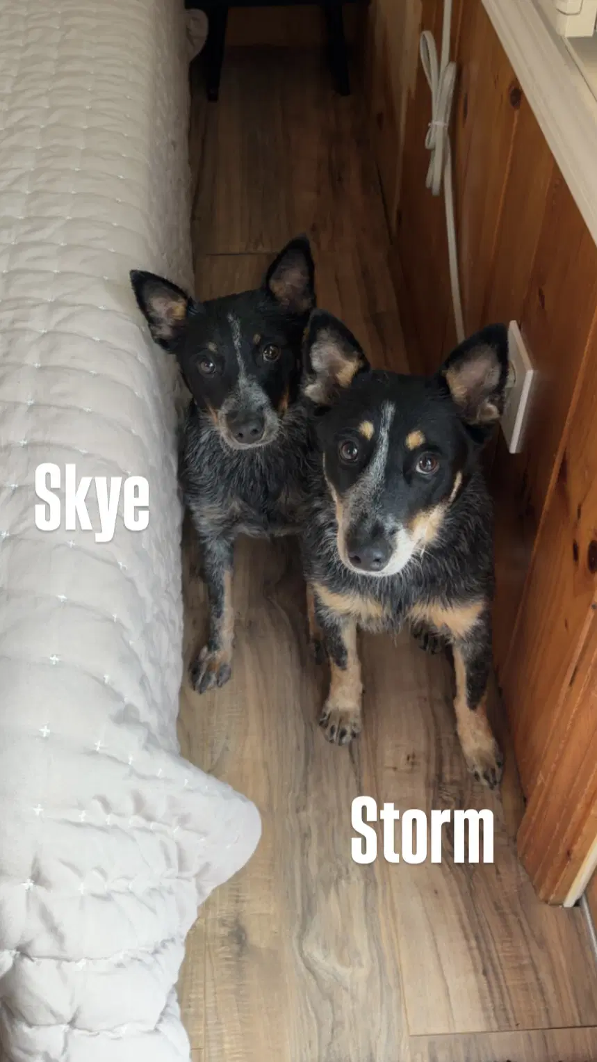 Skye image 3