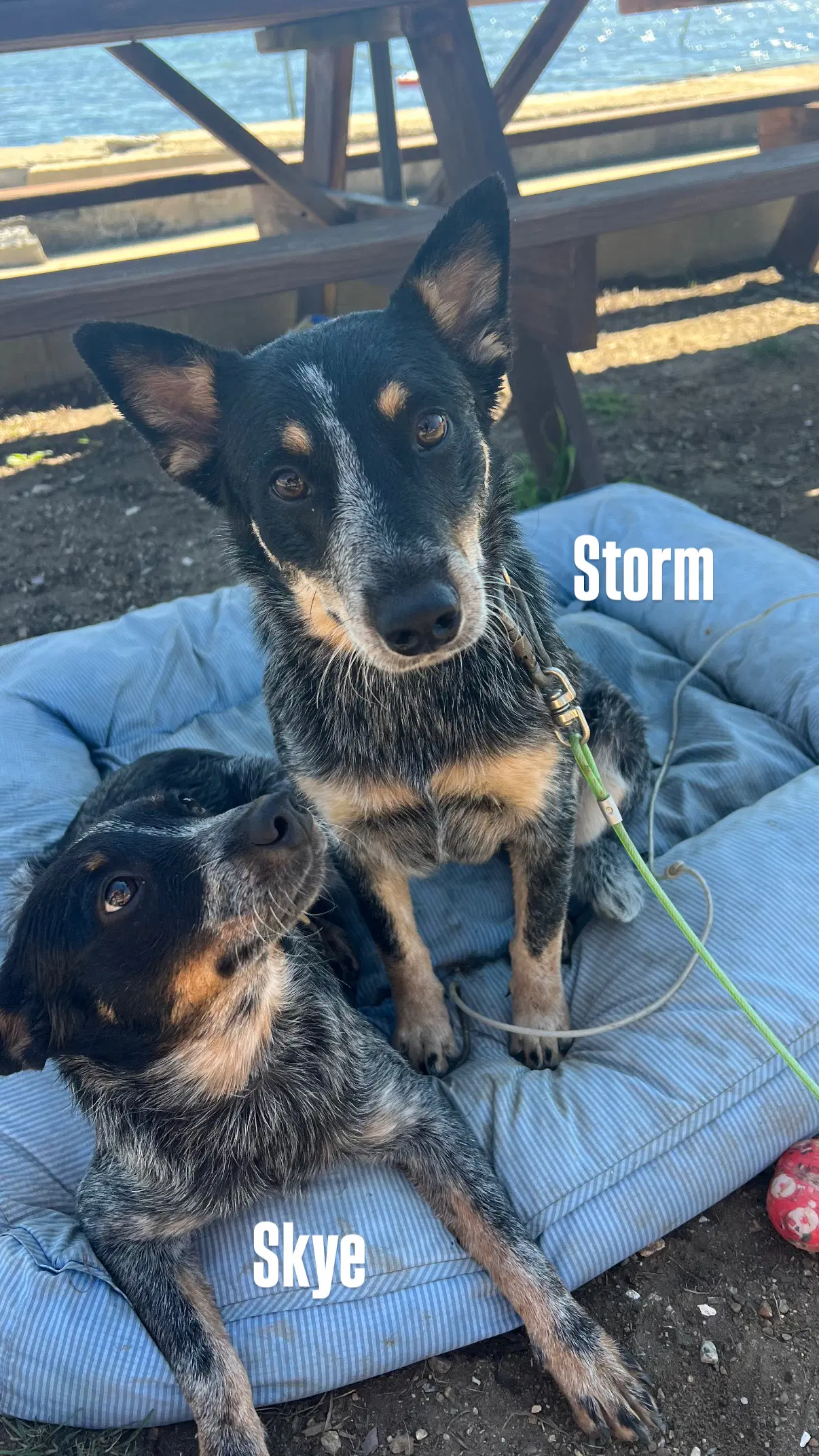 Storm image 4