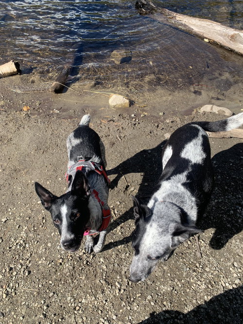 Photo 5 of Maggie