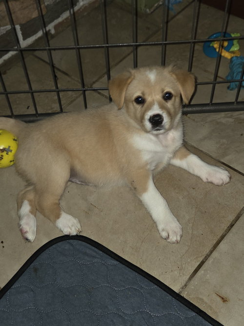 Photo 2 of Stark