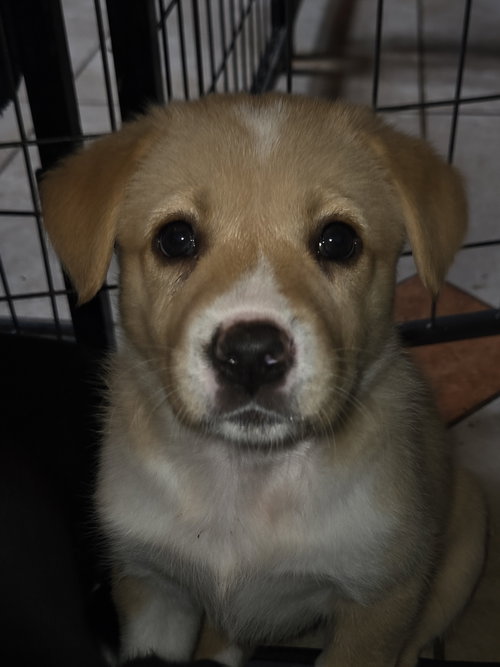 Photo 3 of Stark