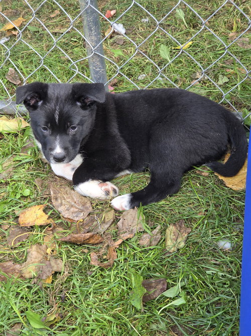 Photo 2 of Skeeter