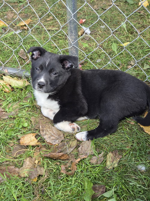 Photo 3 of Skeeter