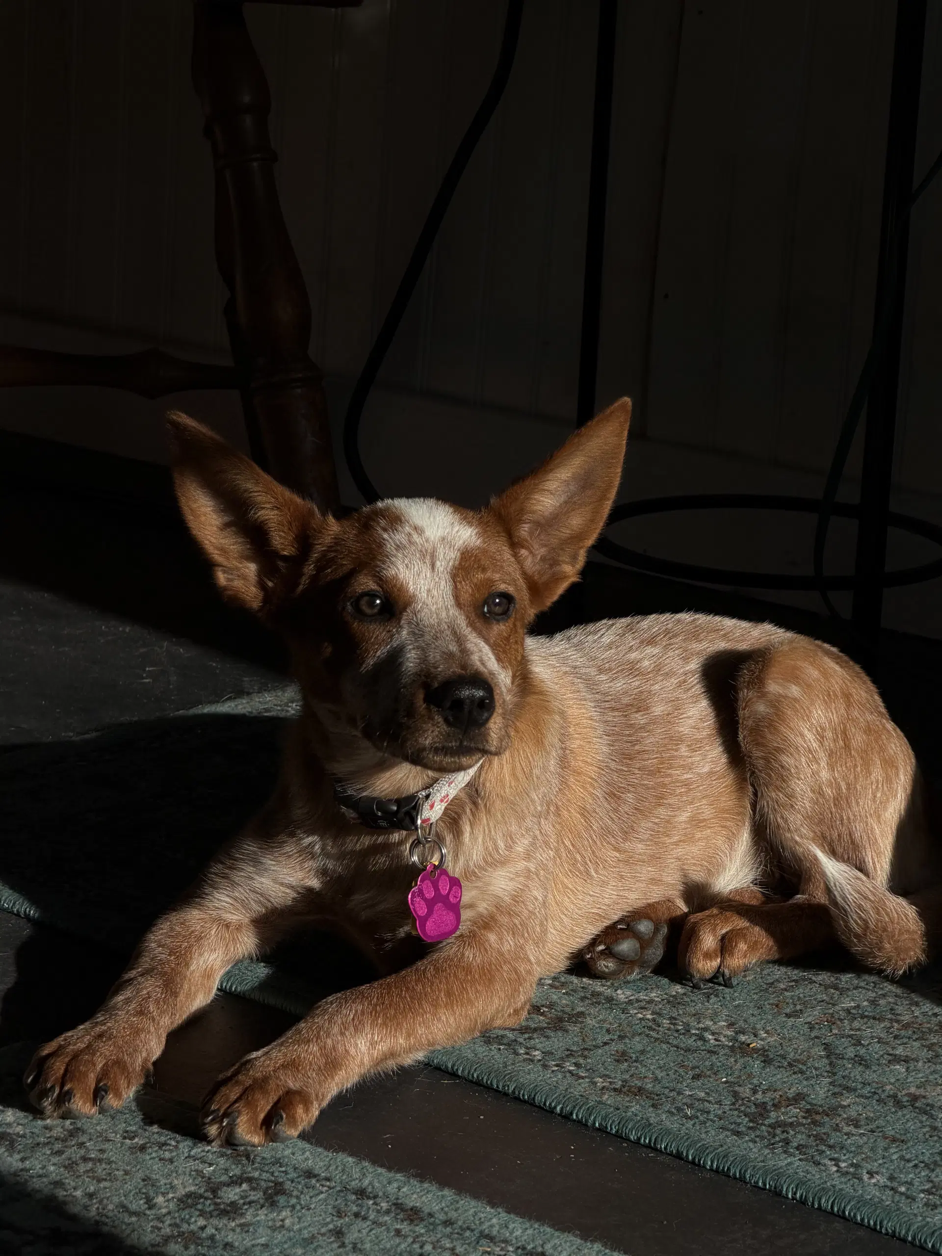 Jolene image 3