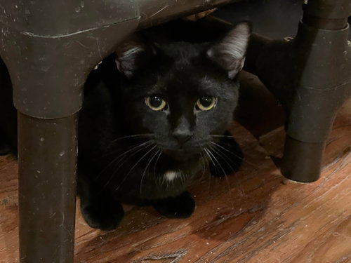 Photo 2 of KILO
