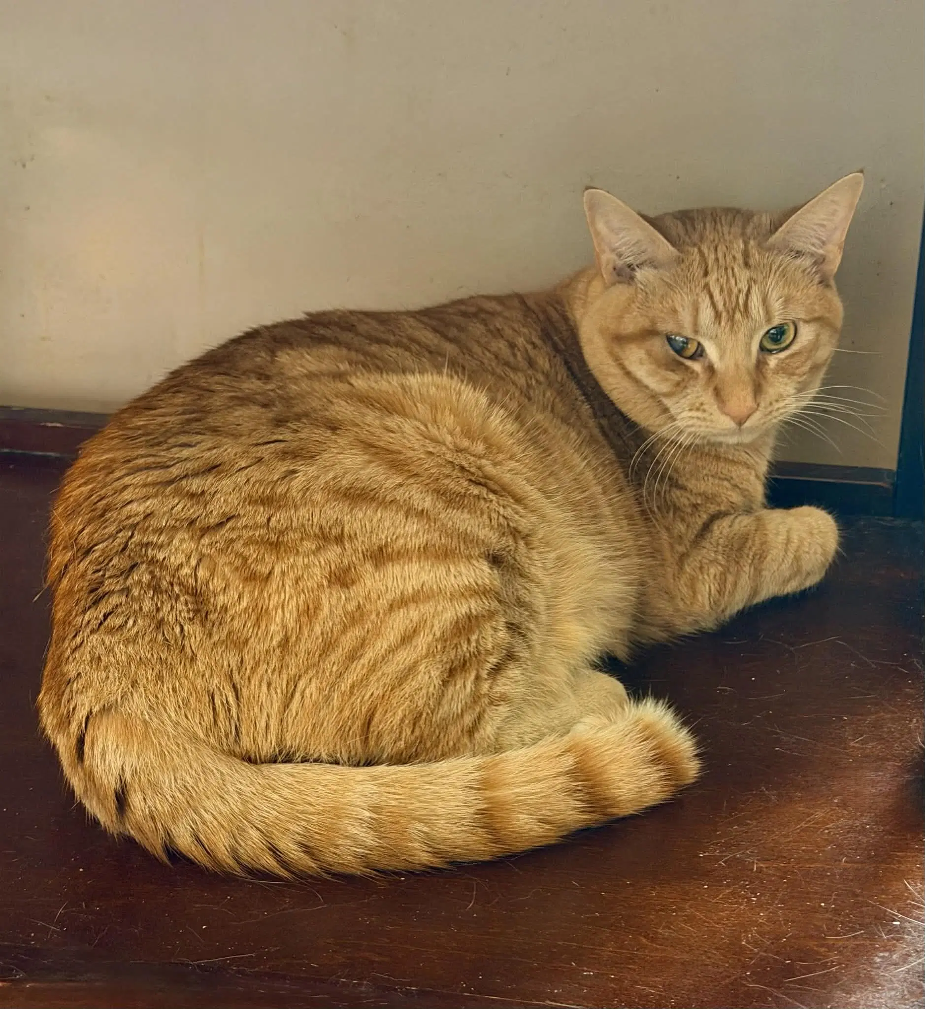 Redd image 1
