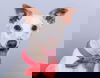 Jenny