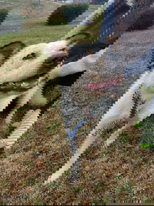 General