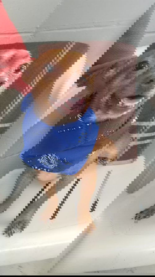 Jaxs