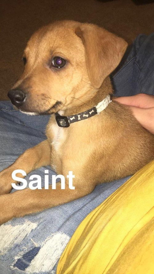 Saint