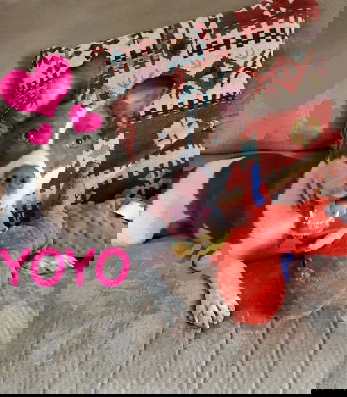 Yoyo (aka Yolanda)