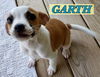 Garth