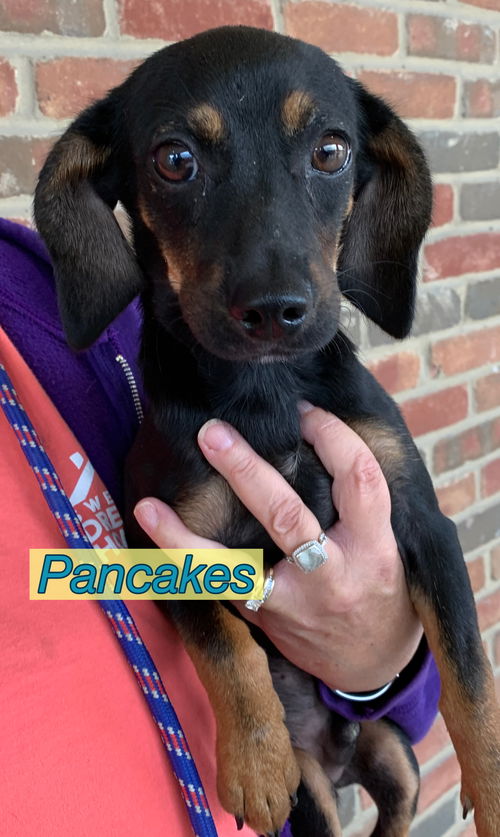 Pancakes