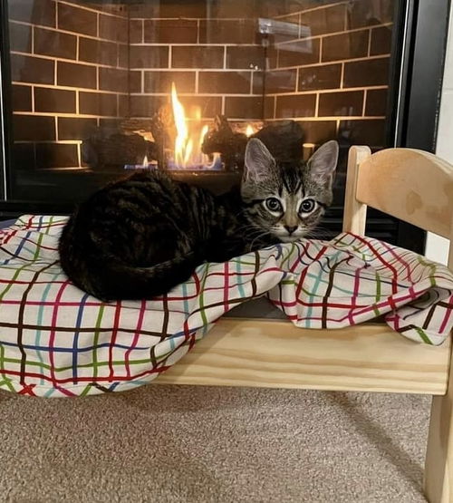 Lady Squeeks