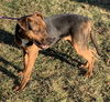 Abner