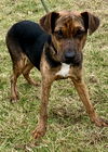 Abner