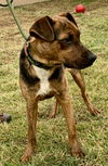 Abner