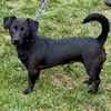 Winifred