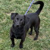 Winifred