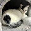 Mittens 2025 - Photo 1