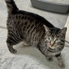 Miss Tedi - Photo 4