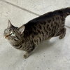 Miss Tedi - Photo 5