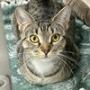 Marie (bonded with Emma) - Photo 1