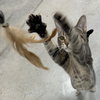 Emma bonded with Marie - Photo 3